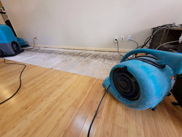 Professional Structural Drying technician working in Welch, MN